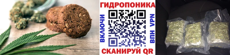 Canna-Cookies марихуана  Купить закладки  Волхов 