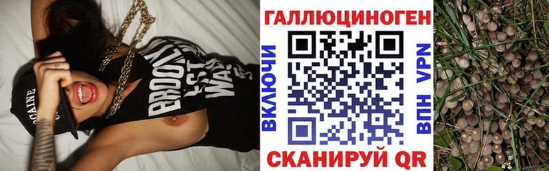 Псилоцибиновые грибы прущие грибы  Купить где  Волхов 