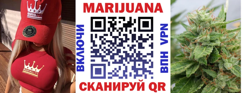 Купить закладки  Волхов  Канабис Ganja 